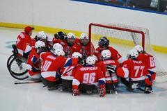 Česká sledge hokejová reprezentace