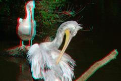 ZOO 3D