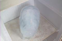 Vládou zakázaný ledový Václav Klaus, jehož vytvořila Markéta Jáchimová