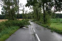Bouřka lámala stromy a trhala střechy