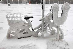 Sněhová kalamita v USA