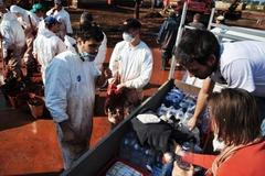 Reportáž ze zdevastovaného Maďarska: Obcí zní Köszönöm