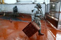 Jedovaté bahno se vylilo do maďarských vesnic