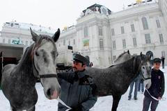 Hofburg, sídlo rakouského prezidenta