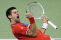 Davis Cup 2010 Srbsko - Francie: