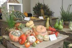 Veletrh Zahrada Čech