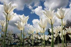 Příroda a panorama - šance pro děti