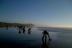 Vlasy k čištění ropy z moře