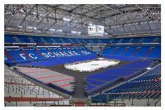 Veltins Arena