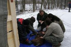 Transport zvířat z královédvorské zoo