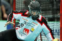 florbal Švédsko - Finsko