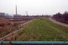 Popeliště ve Dvoře Králové