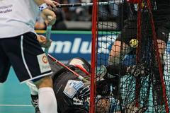 florbal Česko - Finsko