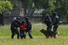 Policie - ilustrační foto