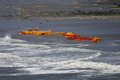 Ropná skvrna v Louisianě