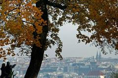 Tak vypadá český podzim na fotkách zahraničních agentur