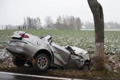 Auto narazilo při nehodě do stromu