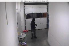 Lupič v Rožanech na Šluknovsku