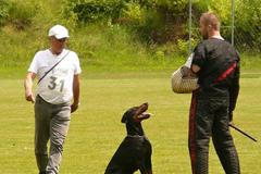 Mistrovsjtví dobrmanů