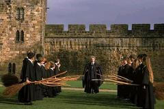 Harry Potter a Kámen mudrců