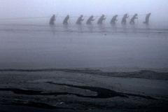 Tak vypadá český podzim na fotkách zahraničních agentur