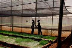 Havana - život v ulicích