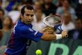 Davis Cup: Srbsko - Česko: Troicki - Štěpánek