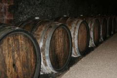 Tajemství tokajských sklepů