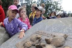 medvědi kolín film