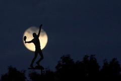 Nejlepší snímky měsíce