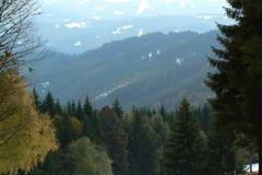 Valašská kalamita týden poté