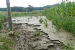 Eroze na poli s kukuřicí