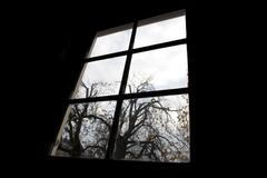 Nejlepší snímky měsíce