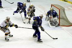 Fanoušci na hokeji v Litvínově