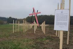 Členové ČSNS přetřeli kříž padlým Němcům na růžovo