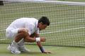 Wimbledon: Djokovič - Nadal