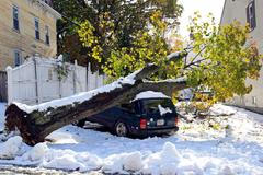 Sněová bouře v USA