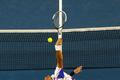 Australian Open: Novak Djokovič