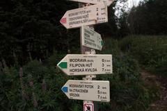 Blokáda dřevorubců na Šumavě