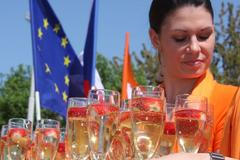 Kampaň ČSSD před volbami do EP