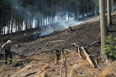 Požáry lesního porostu na Náchodsku a Rychnovsku