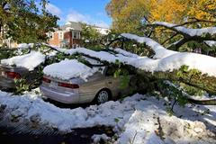 Sněhová bouře v USA
