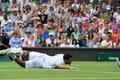 Wimbledon 2011: Tsonga