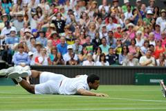 Wimbledon 2011: Tsonga