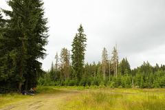 Blokáda na Šumavě