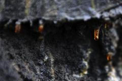 palivo z ostravských lagun v Katowicích