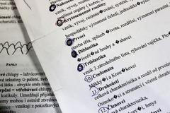 Maturity na gymnáziu v Kutné Hoře