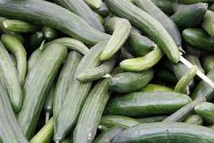 Okurky na berlínském trhu - nákaza