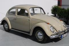 The Beetle