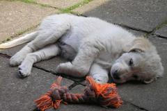 Dokumentujeme.cz - Pozdní léto